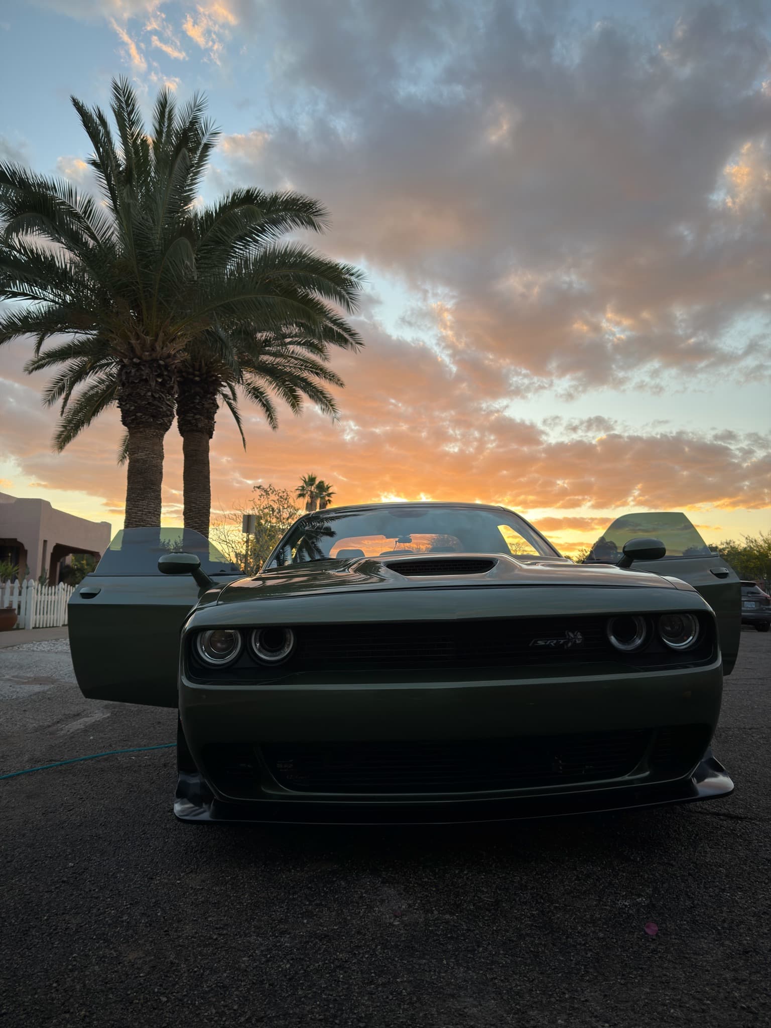 Black Dodge Challenger rear quarter detail — sunset palm trees Tucson AZ